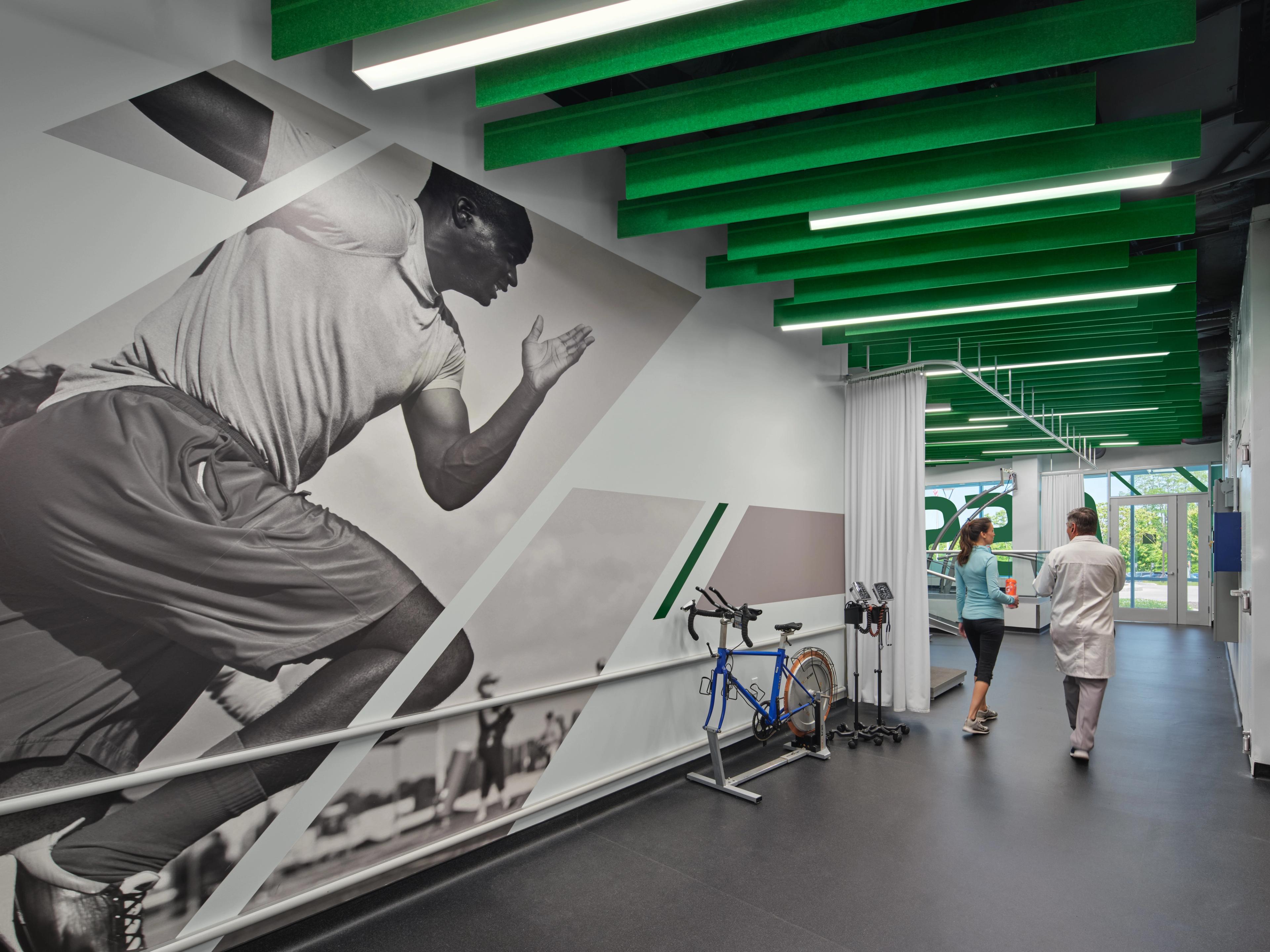 Green acoustic baffles hanging from the ceiling in a sports and health themed research office.