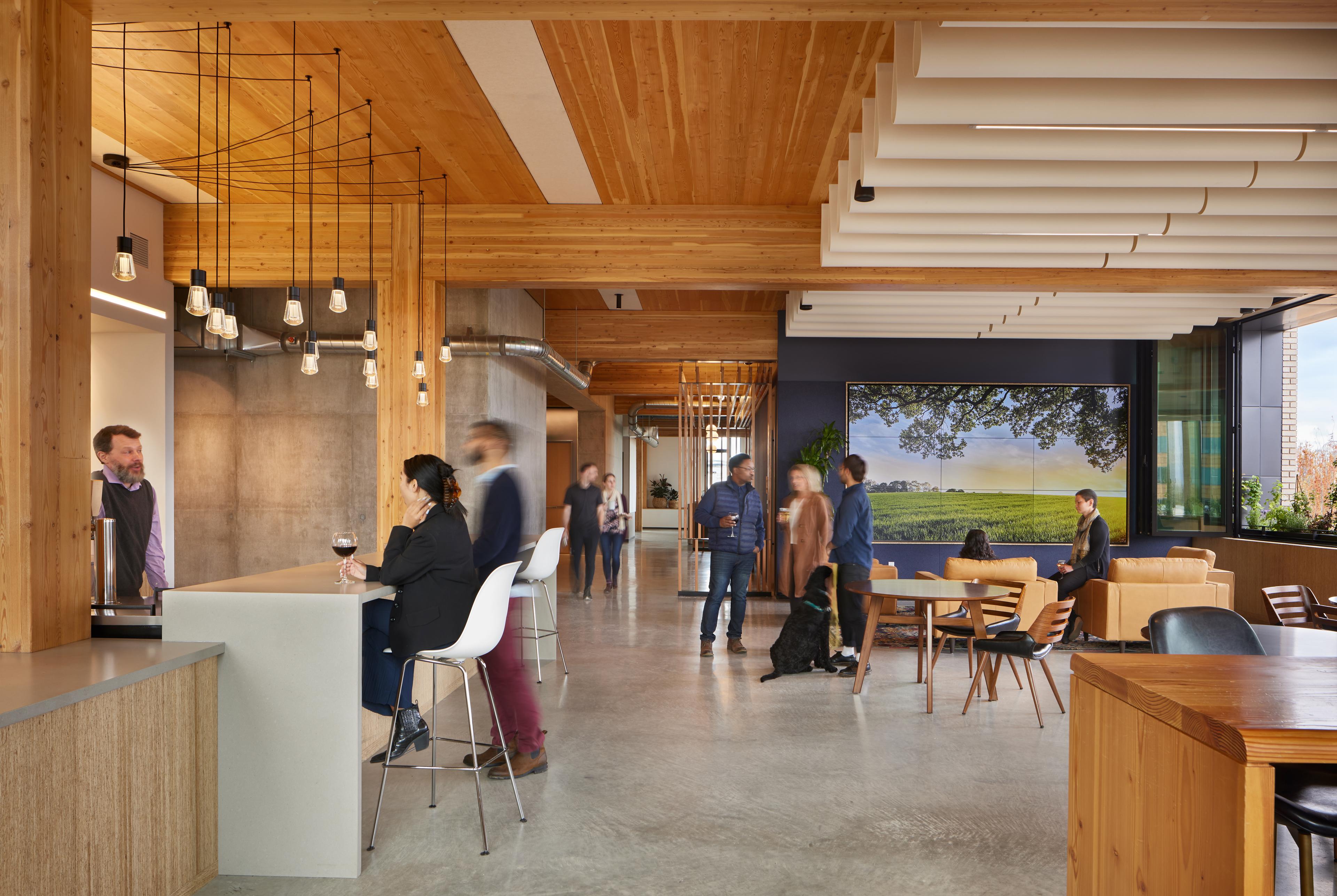An angle showing half of the ceiling at the PAE Living Building that is acoustically treated with Turf's Drop ceiling baffle.