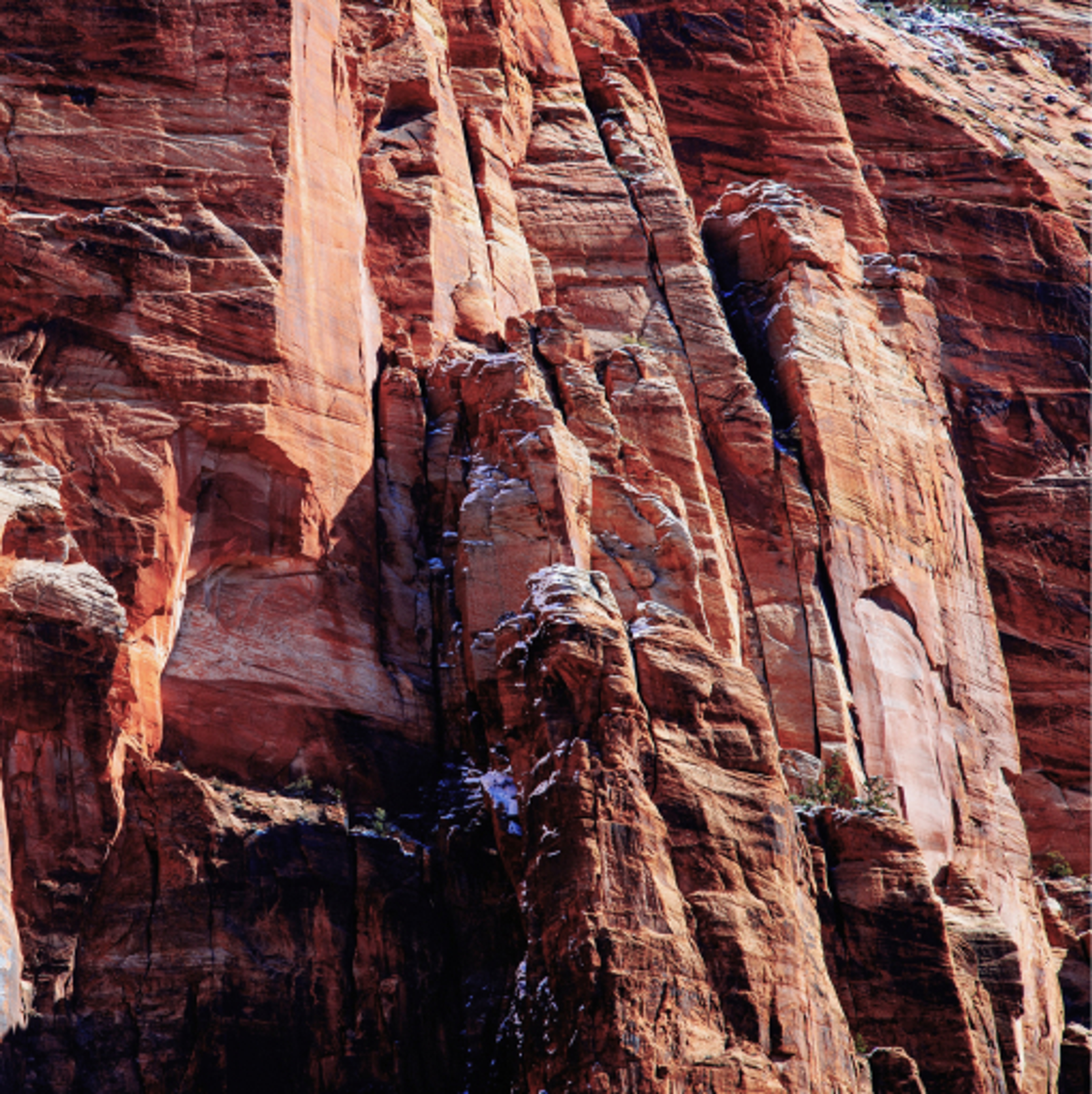 A close up view of an orange granite textured mountain.