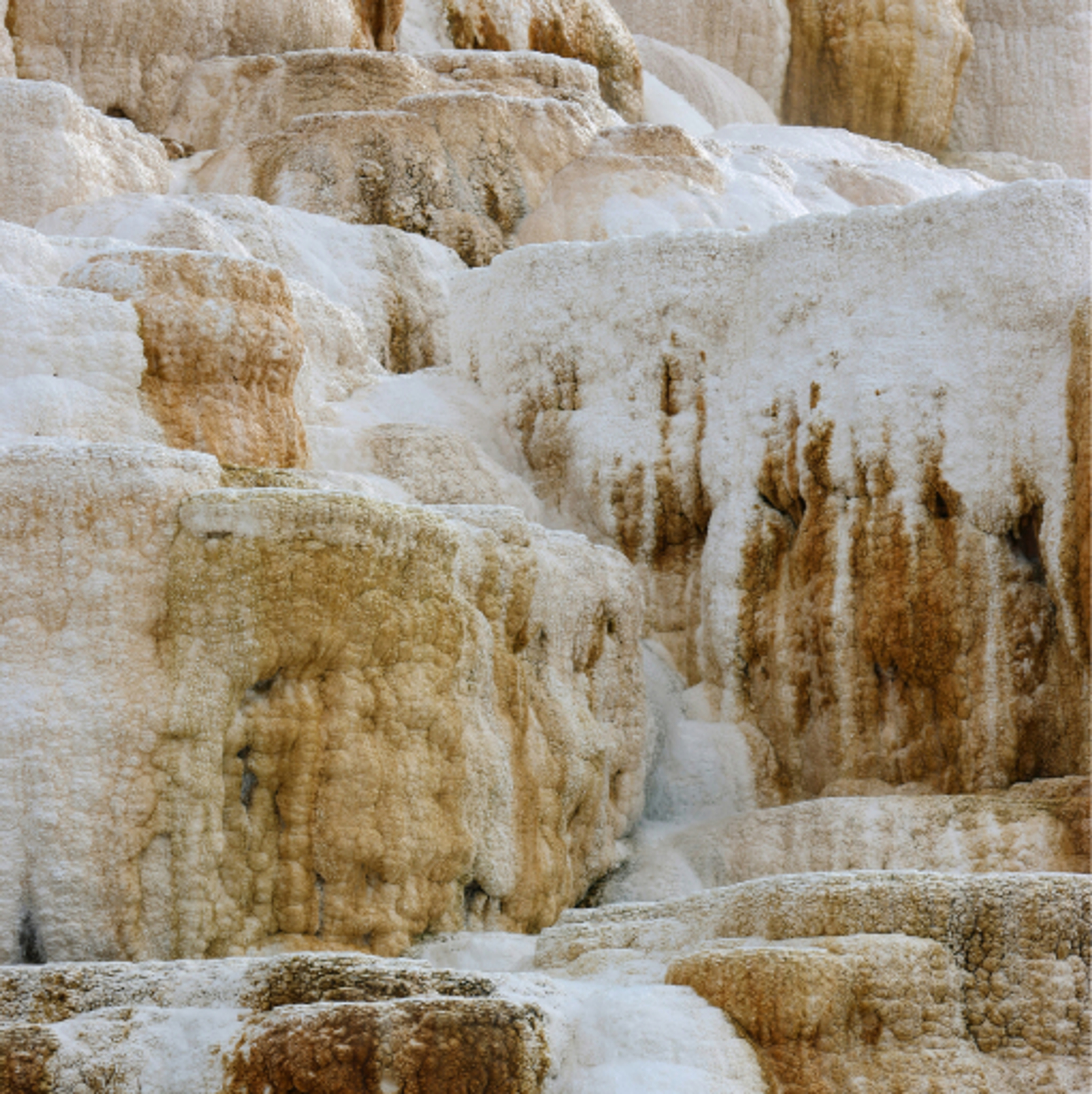 closeup view of limestone in yellow, orange, white tones.