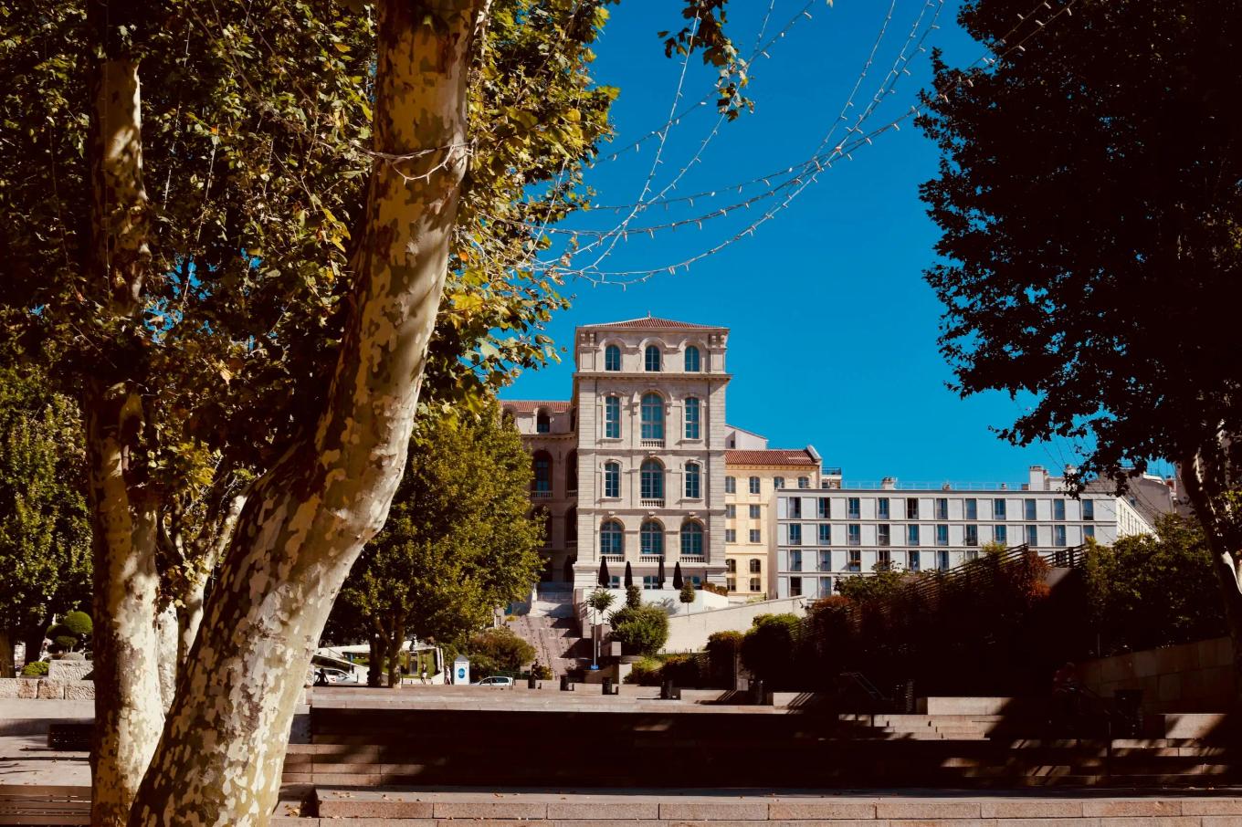 Campus walkway lined with trees leading to multi-story academic buildings under clear sky
