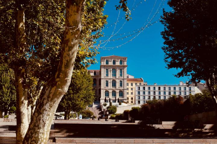 Campus walkway lined with trees leading to multi-story academic buildings under clear sky