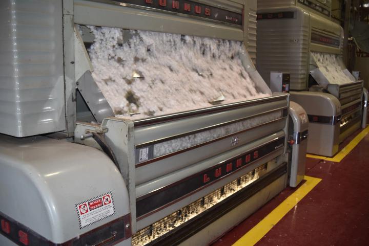 Cotton fibers moving through large industrial cotton gin machines inside a processing facility