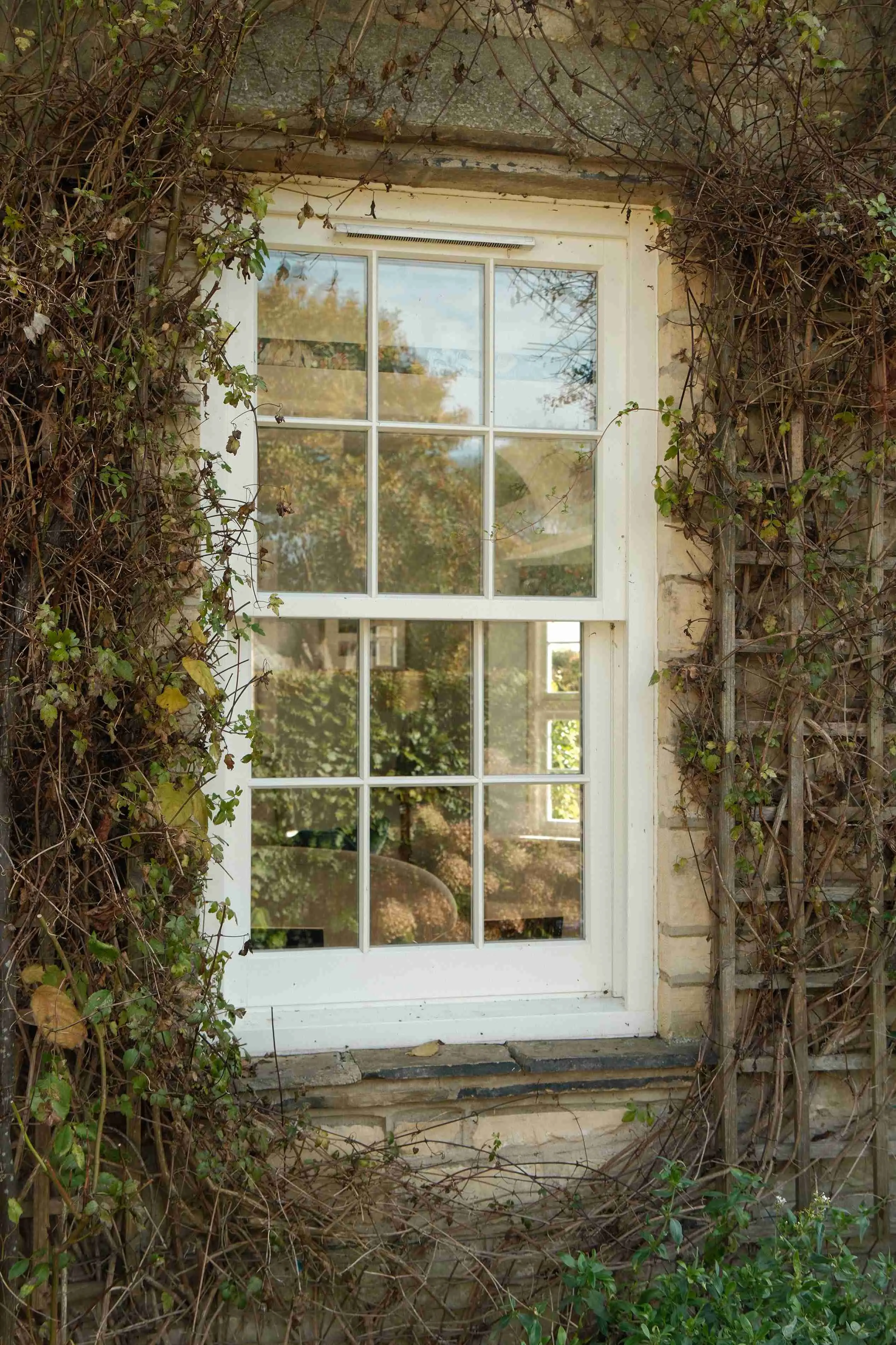 box sash windows from mumford and wood