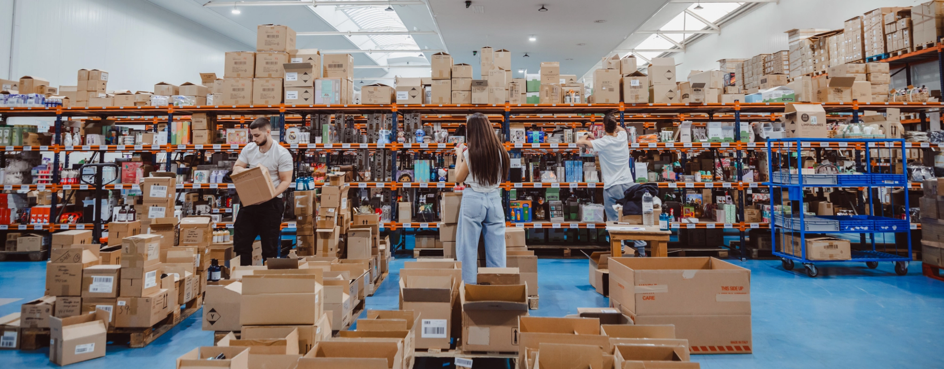 perfumeria internacional office