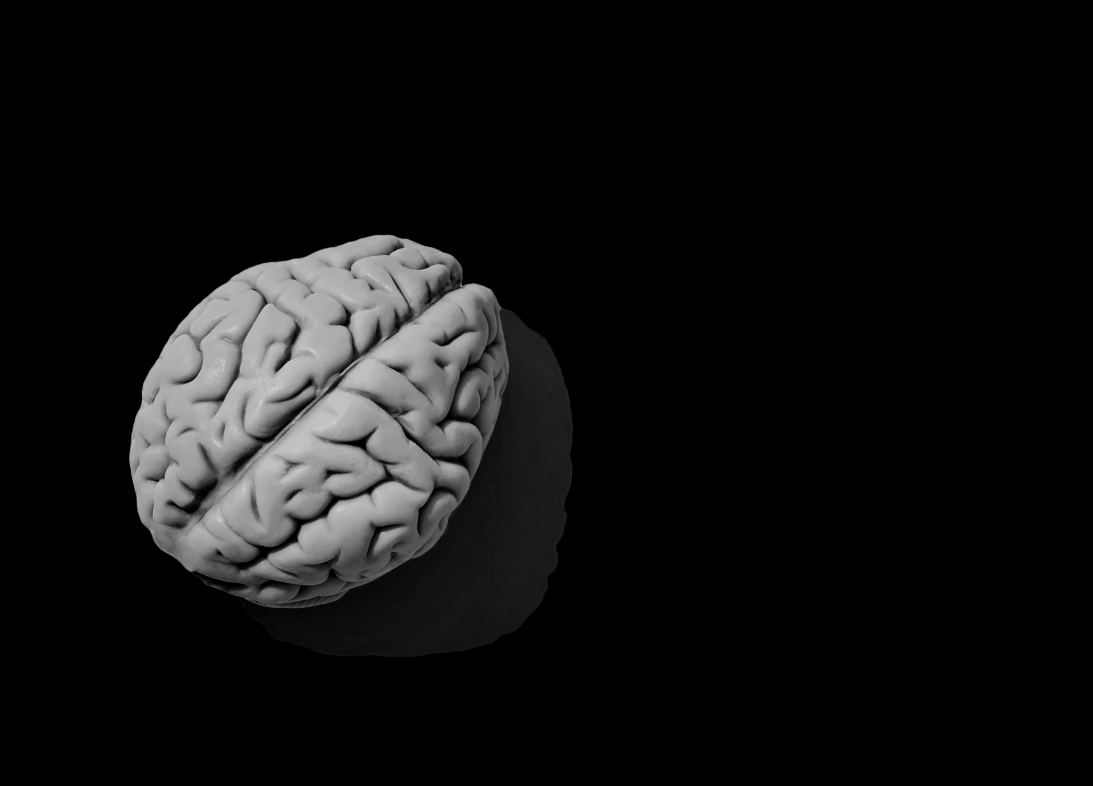 Black and white bird's eye view of the human brain.