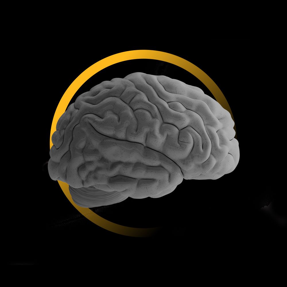 brain 3d side