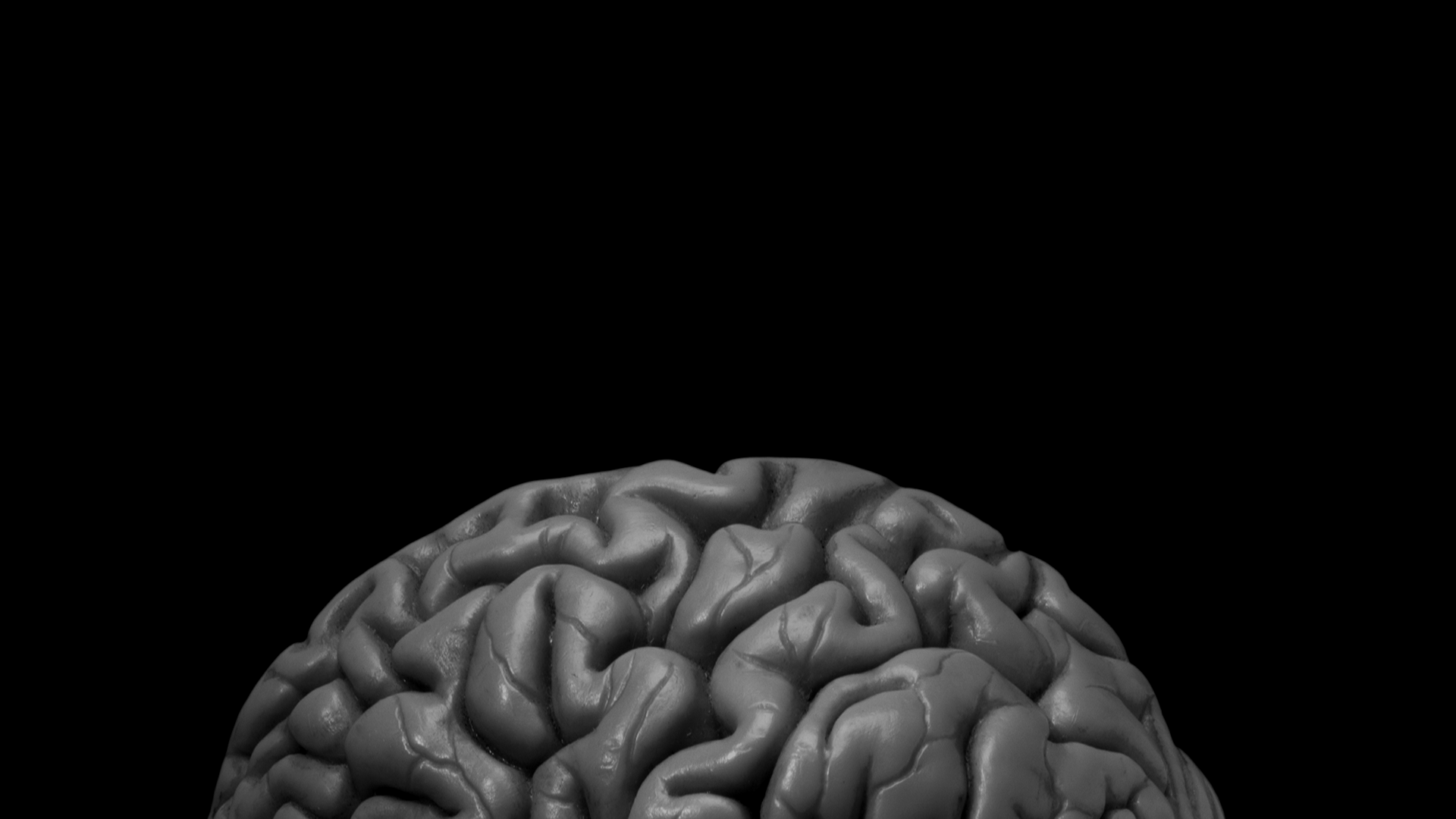 Brain photo