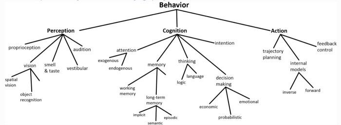 Chart with different branches of behavior.