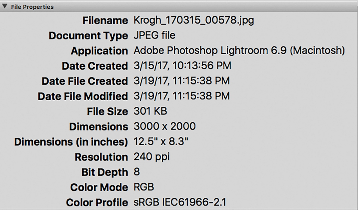 File Characteristics How is metadata generated? | Mediagraph.io