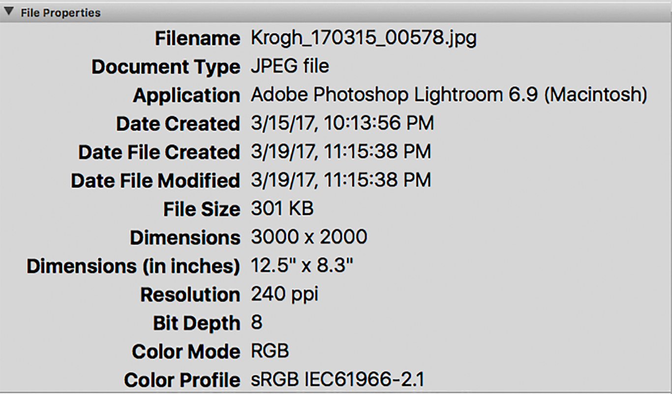 How is metadata generated? | Mediagraph.io