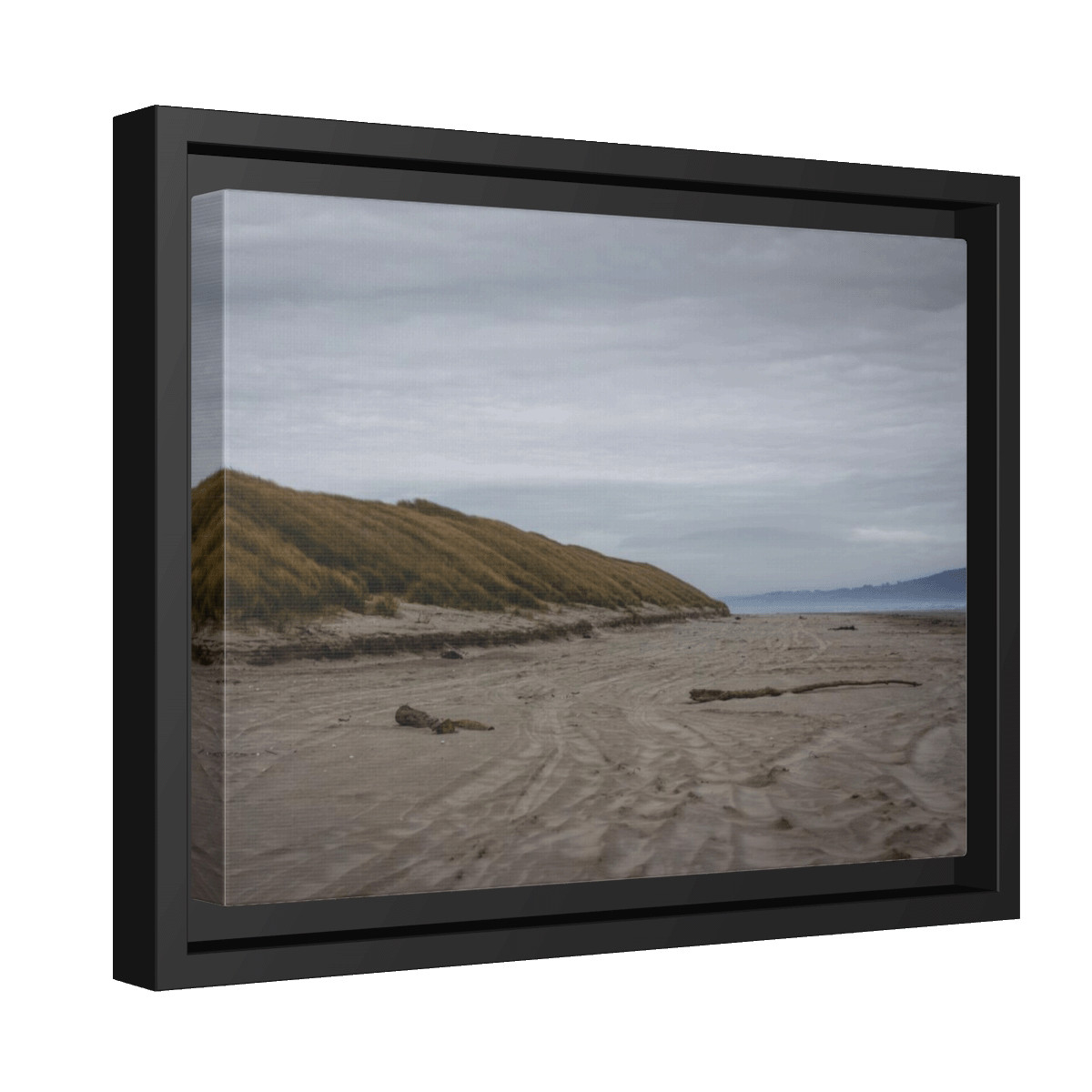 Windswept and Interesting Art Print, New Zealand Landscape Original Photography