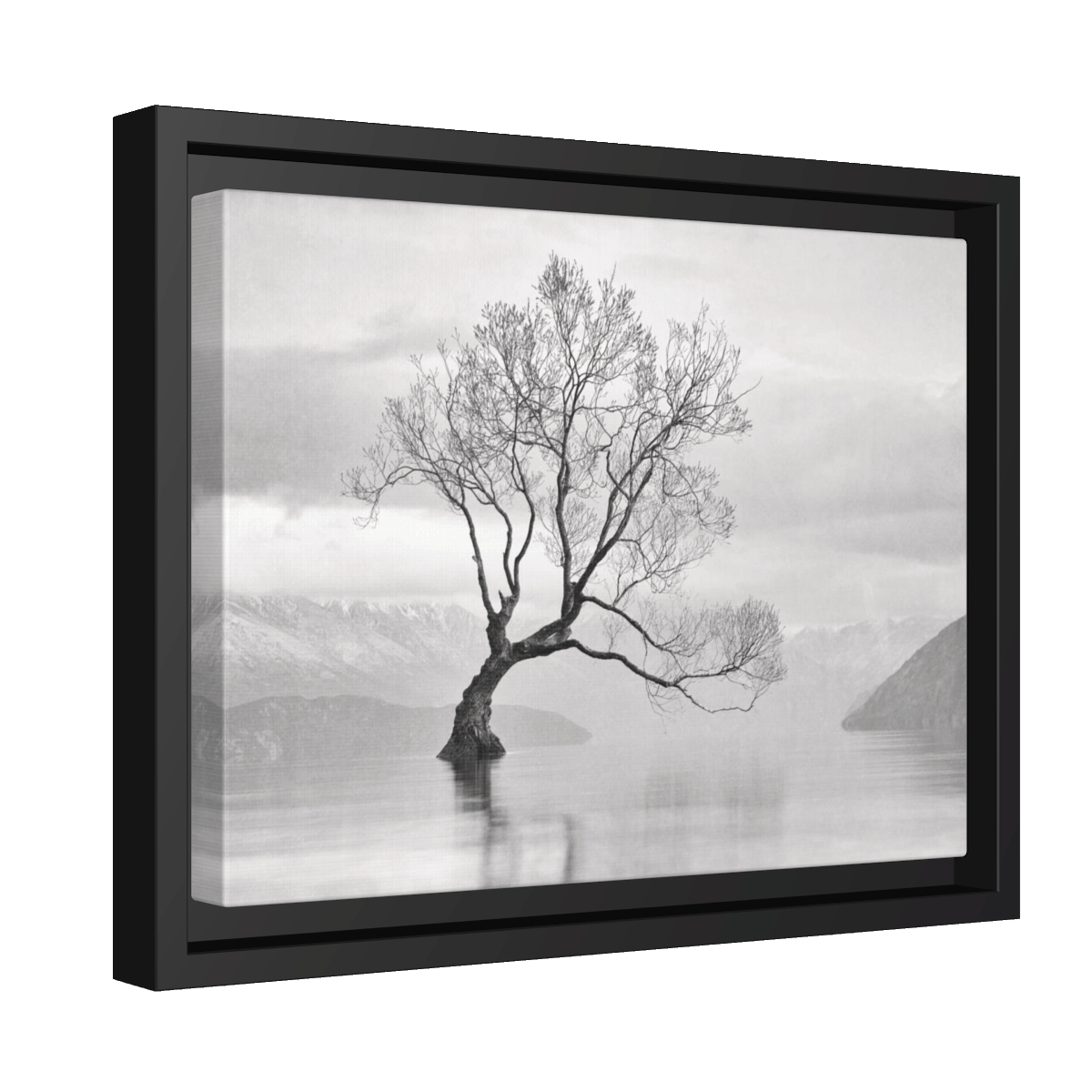 That Tree Art Print, New Zealand Landscape Original Photography