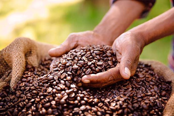 Fair Trade Coffee in Colombia