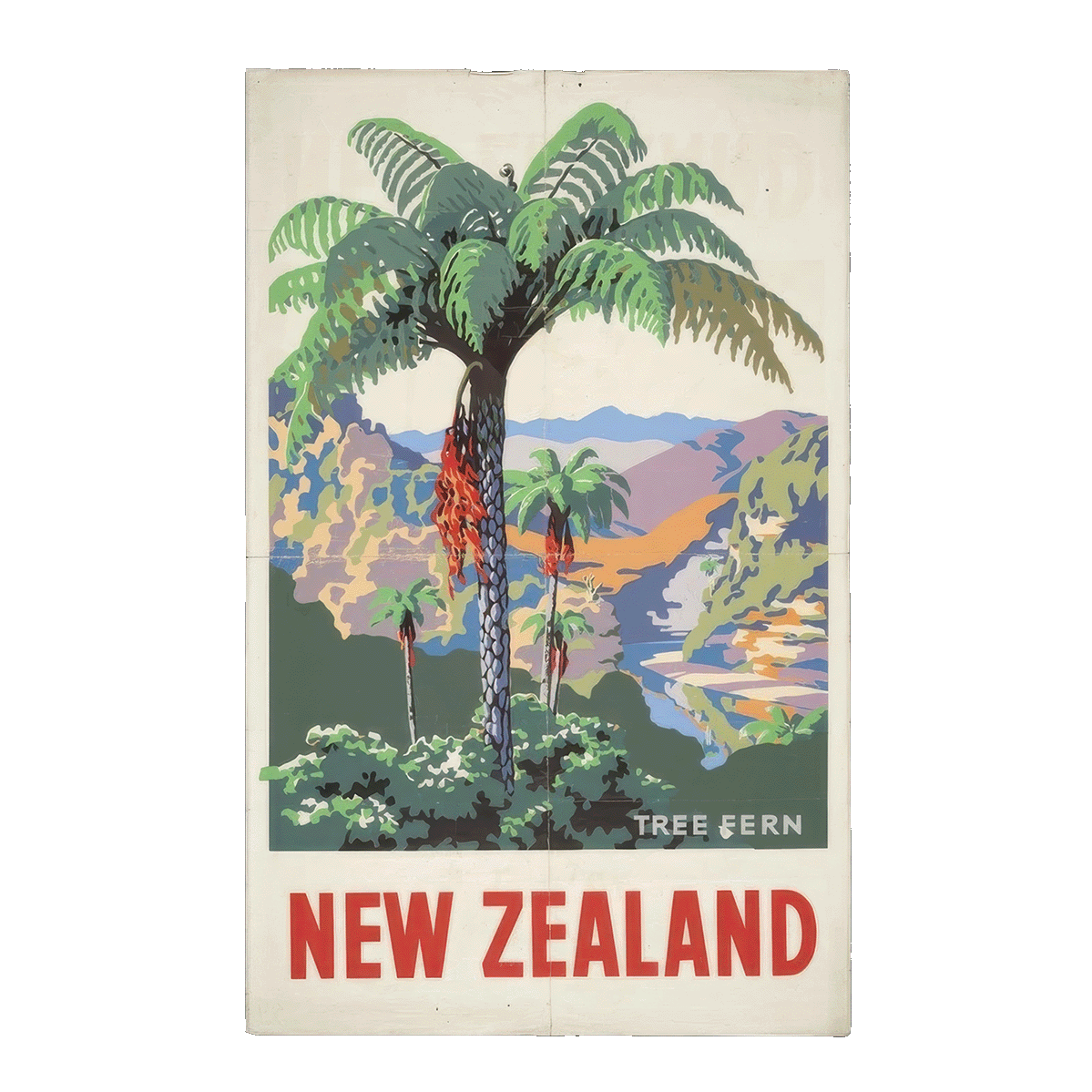 Vintage New Zealand Travel - Tree fern