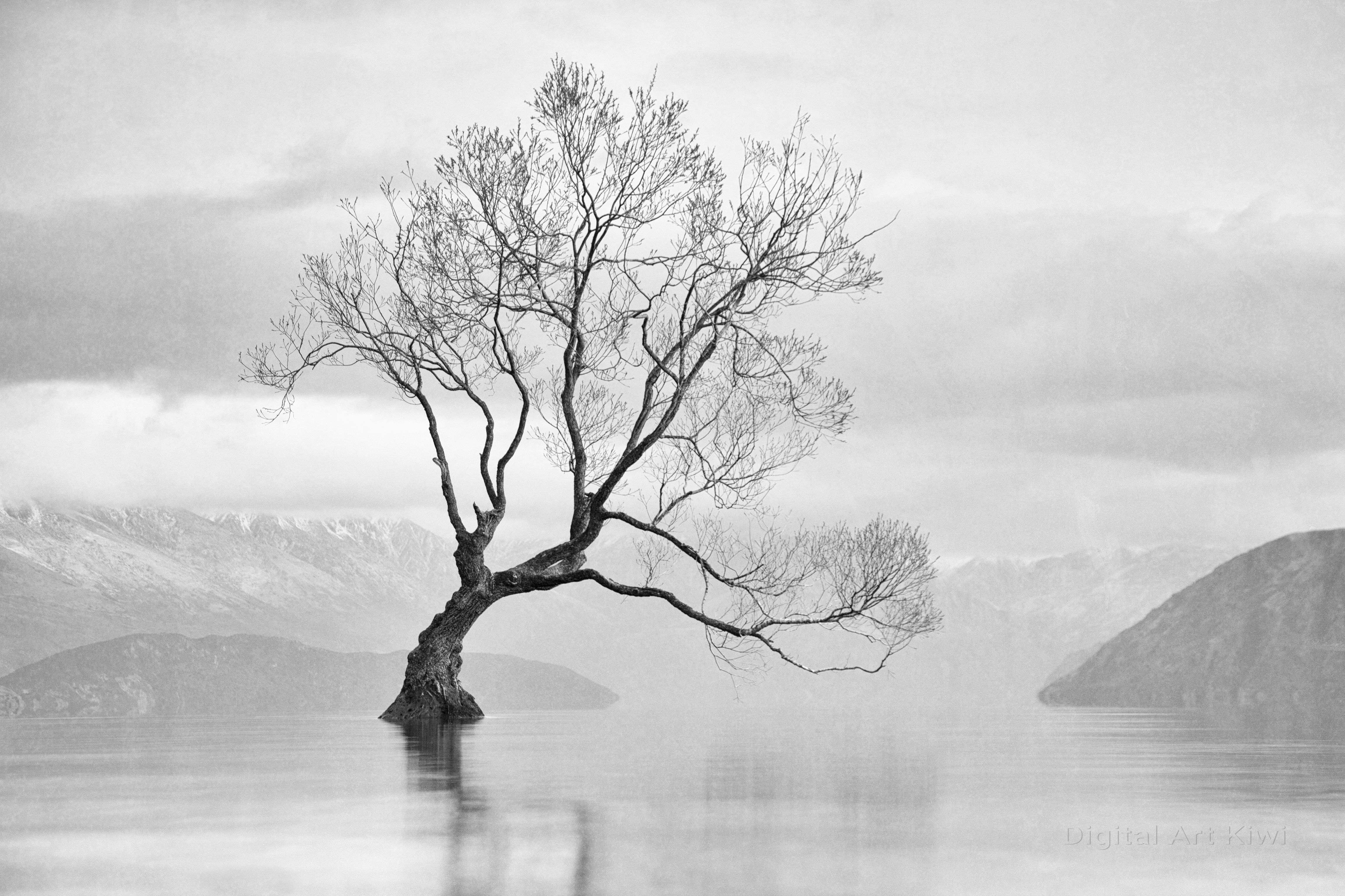 That Tree