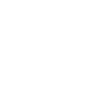 dynamische architectuur