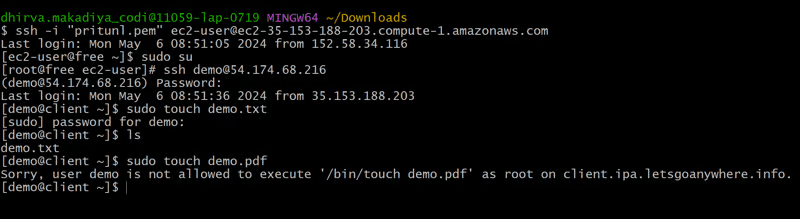 testing_sudo.png