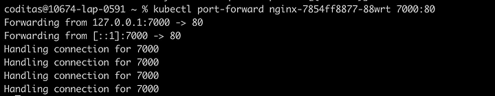 port_forward.png