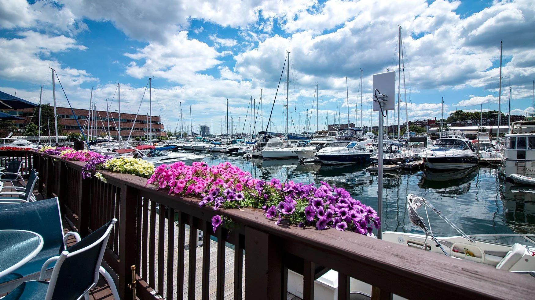 Boats and flowers along the marina deck