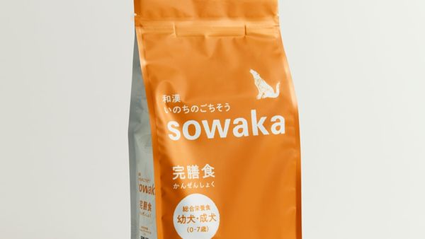 【涙やけ・皮膚ケア】ボストンテリアのテリアが「和漢 いのちのごちそう sowaka」を試してみた！