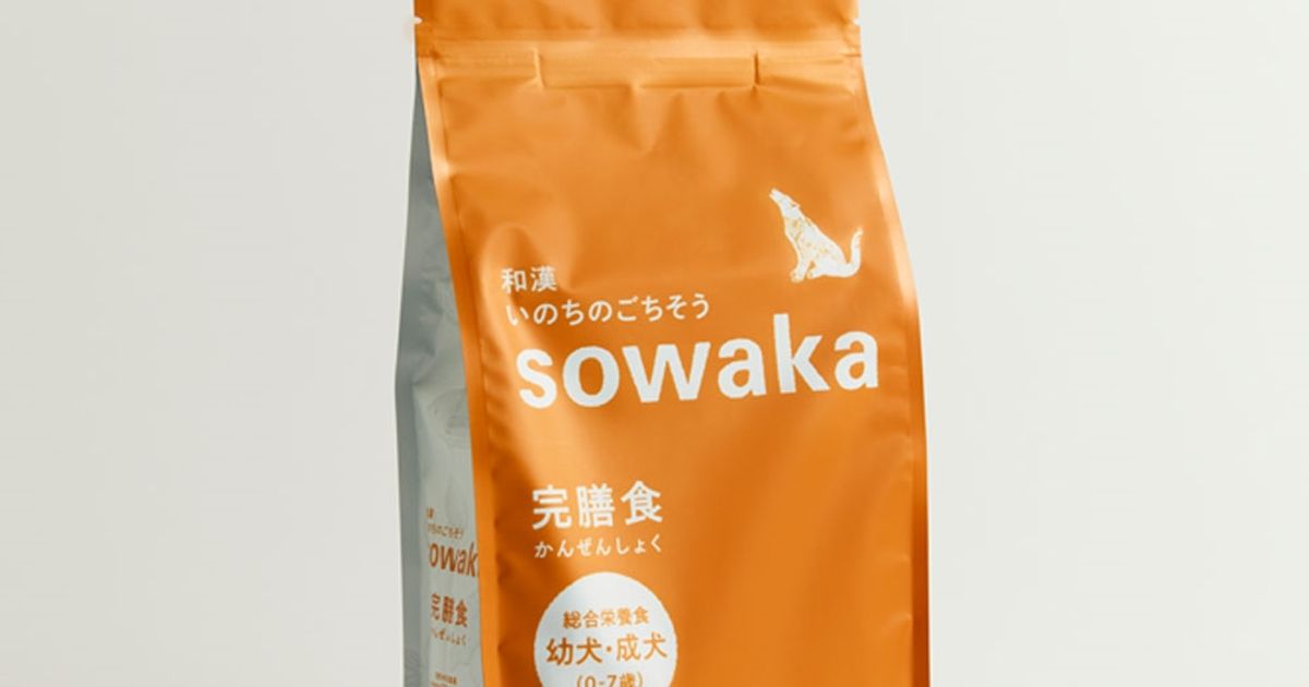 【涙やけ・皮膚ケア】ボストンテリアのテリアが「和漢 いのちのごちそう sowaka」を試してみた！
