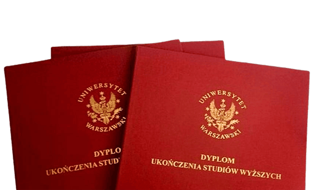 International student environment