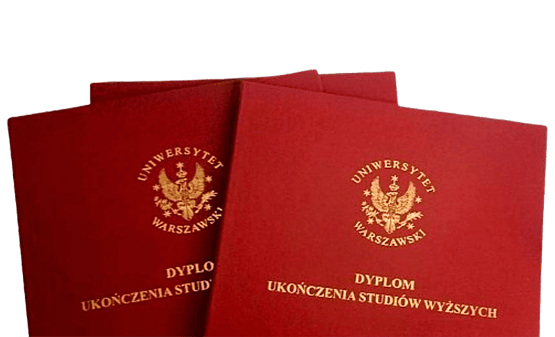 International student environment