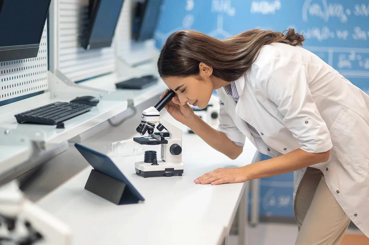 Medicine Studies at Universities in Poland
