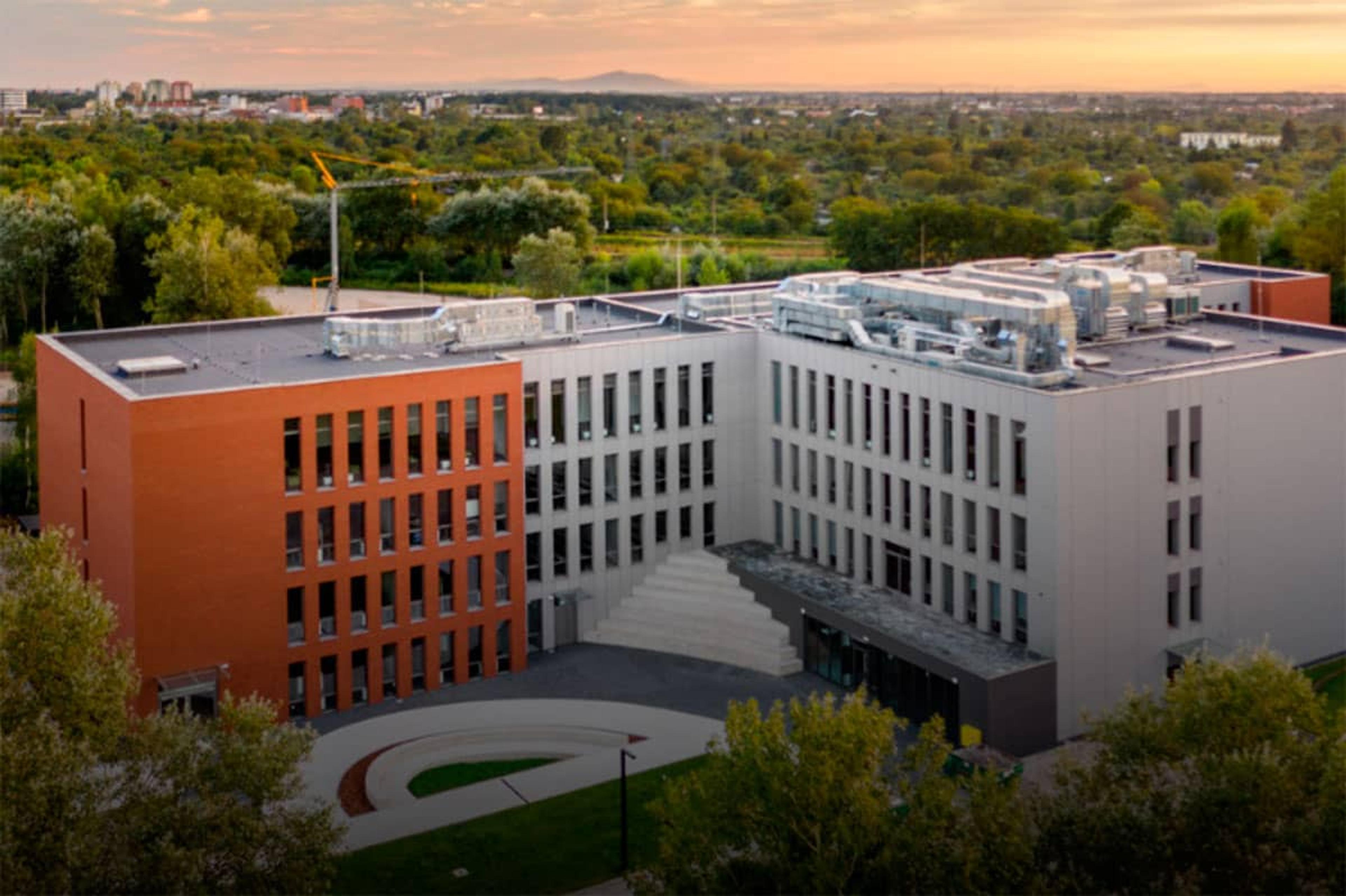 WSB Merito University