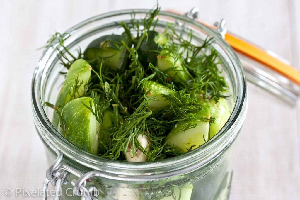 Fresh Dill - Making Refrigerator Dill Pickles