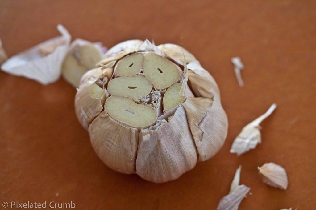 Head of Garlic