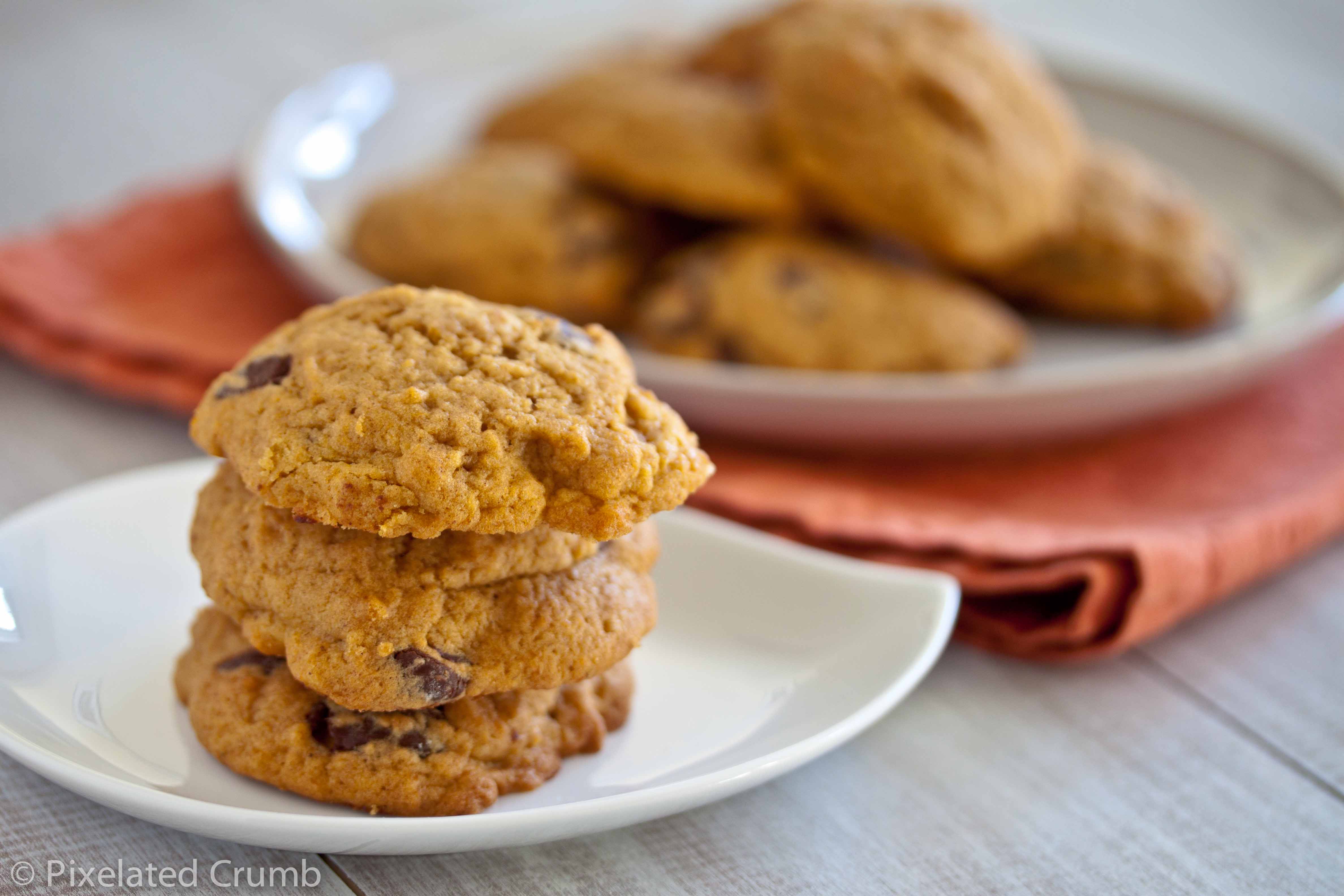Chocolate Chip Pumpkin Cookies