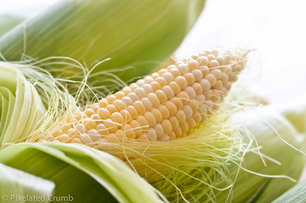 Corn and Corn Husks