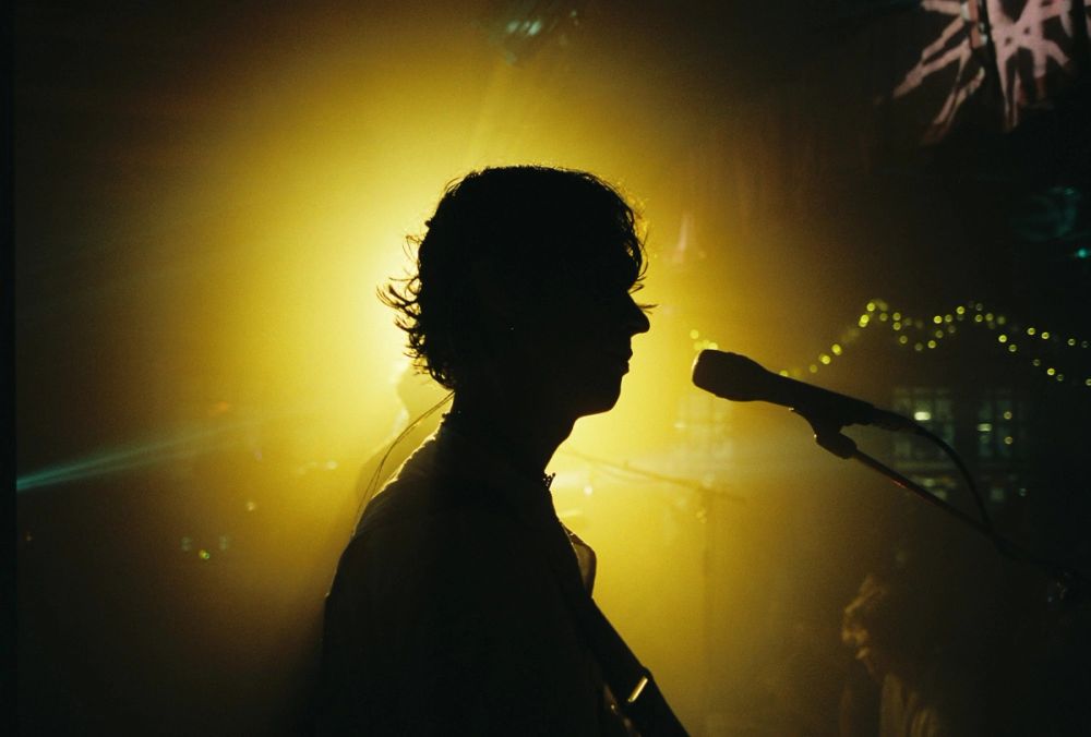 Last Dinosaurs — 35mm film photograph by Jackson Seebohm