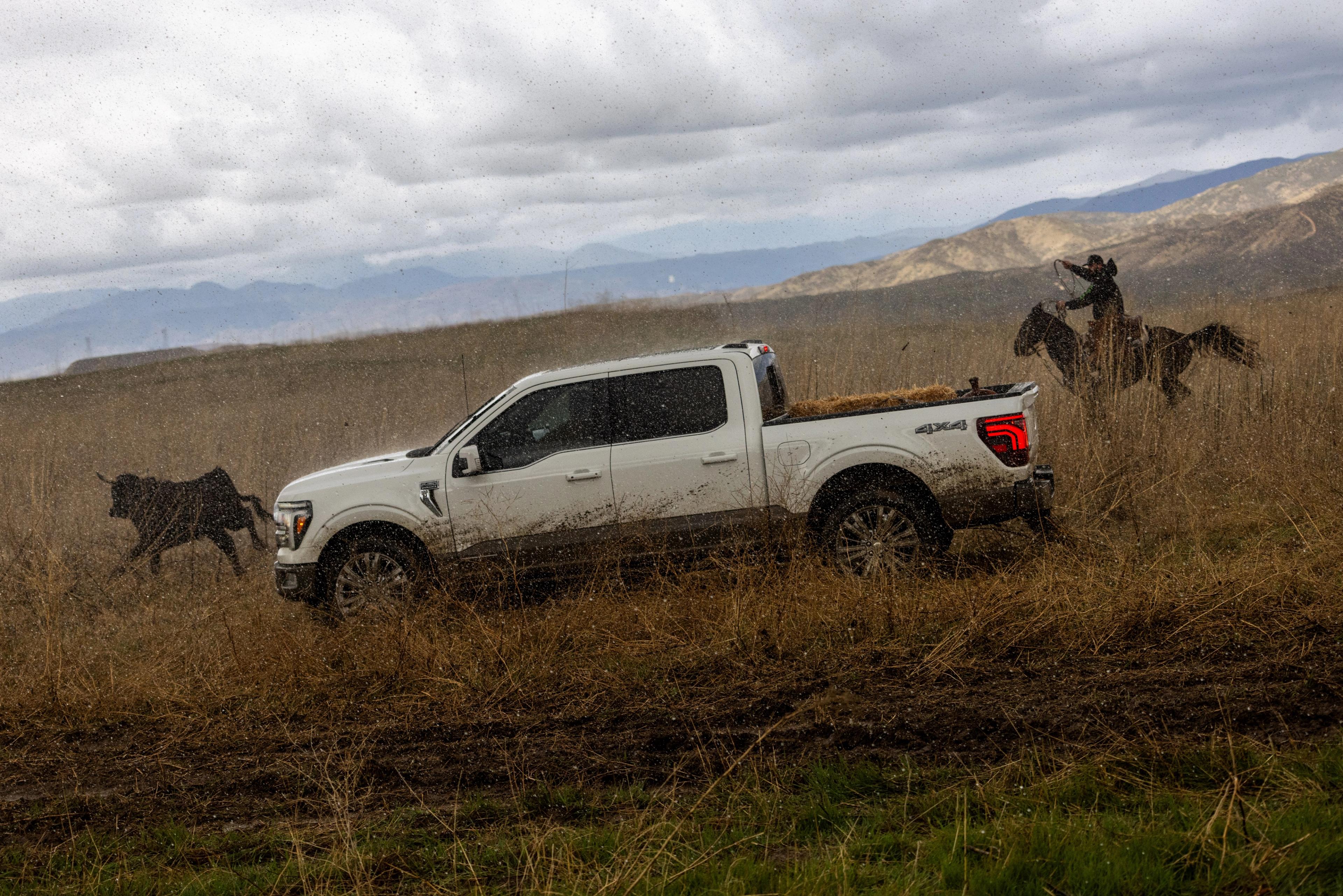 F150 7