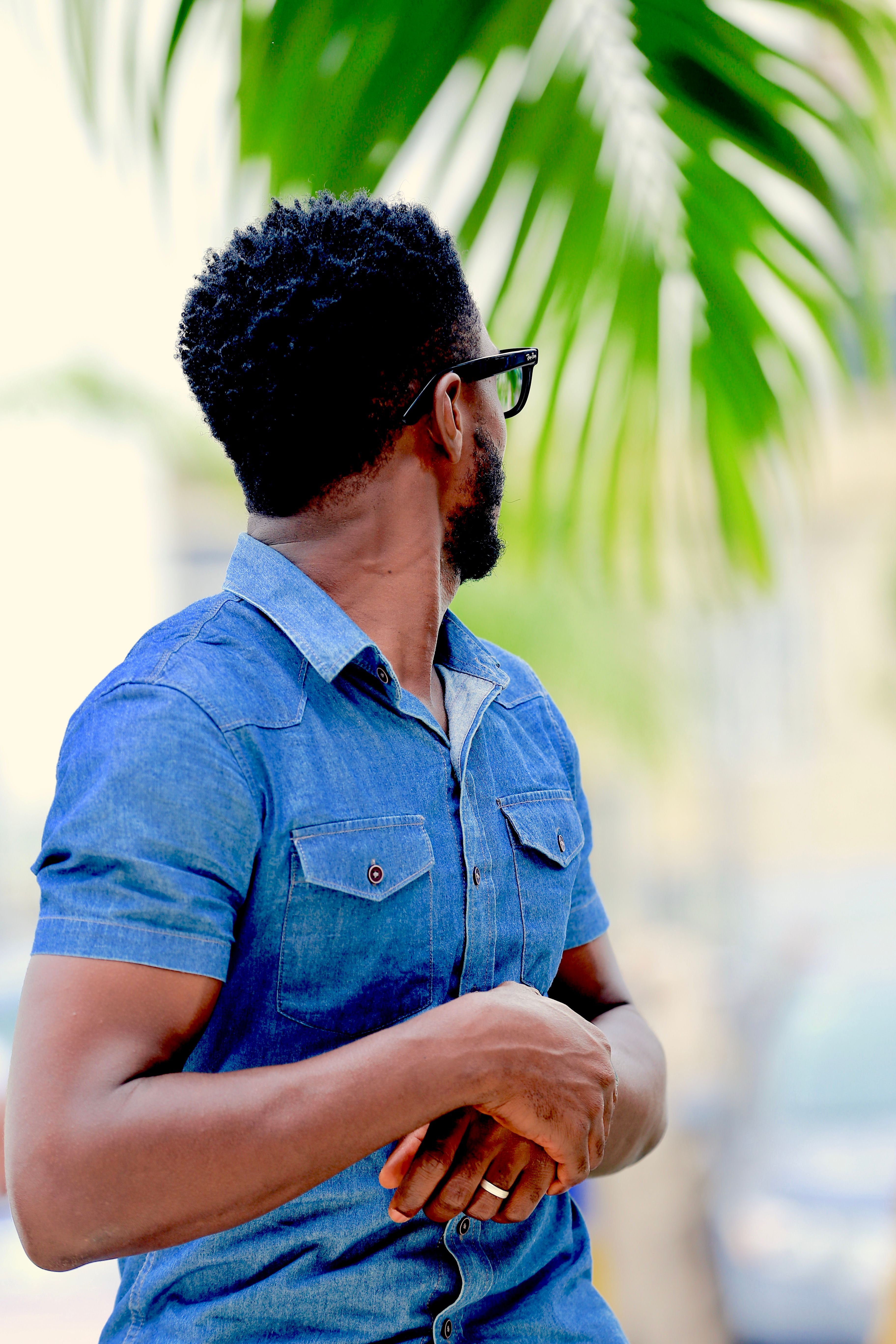 Man in a denim shirt in profile beneath a palm frond