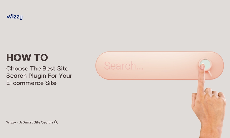 How to Choose the Best Site Search Plugin for your Online Store?