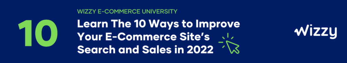 e commerce site search solutions
