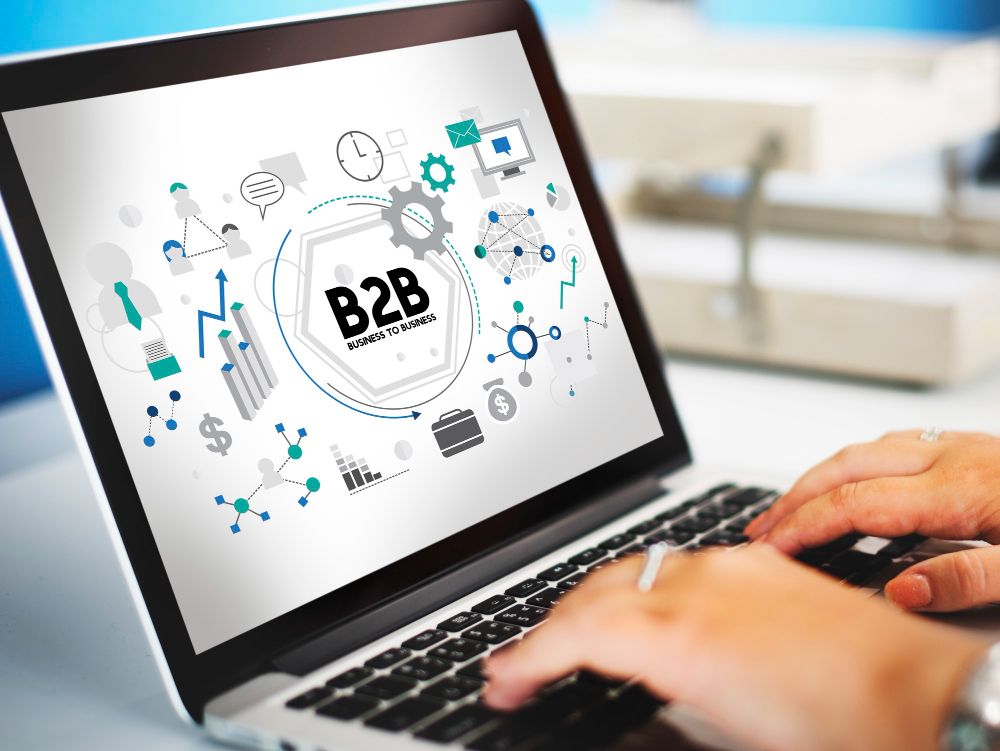 B2B E-commerce Search