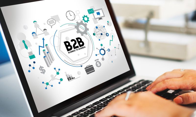 B2B E-commerce Search