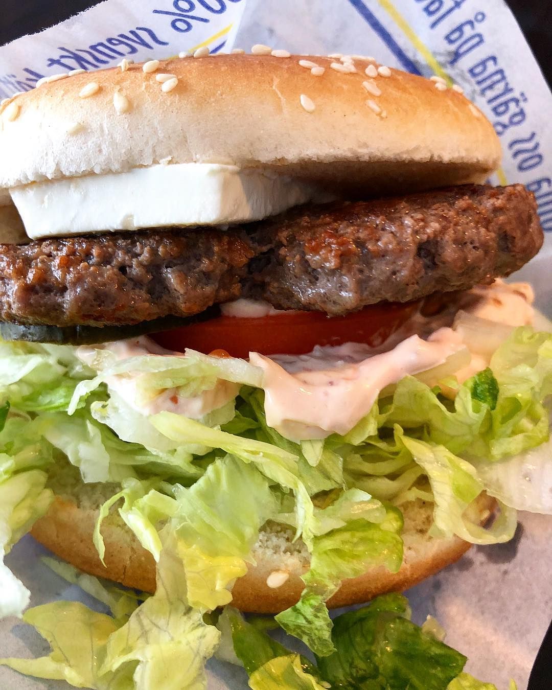 Garlic Burger