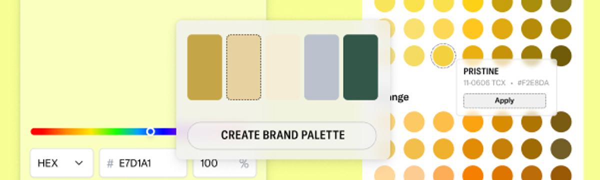 Color Palettes