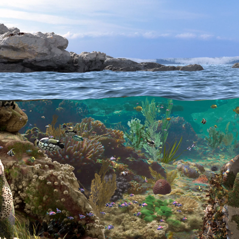 Salesforce | Tidal Pool