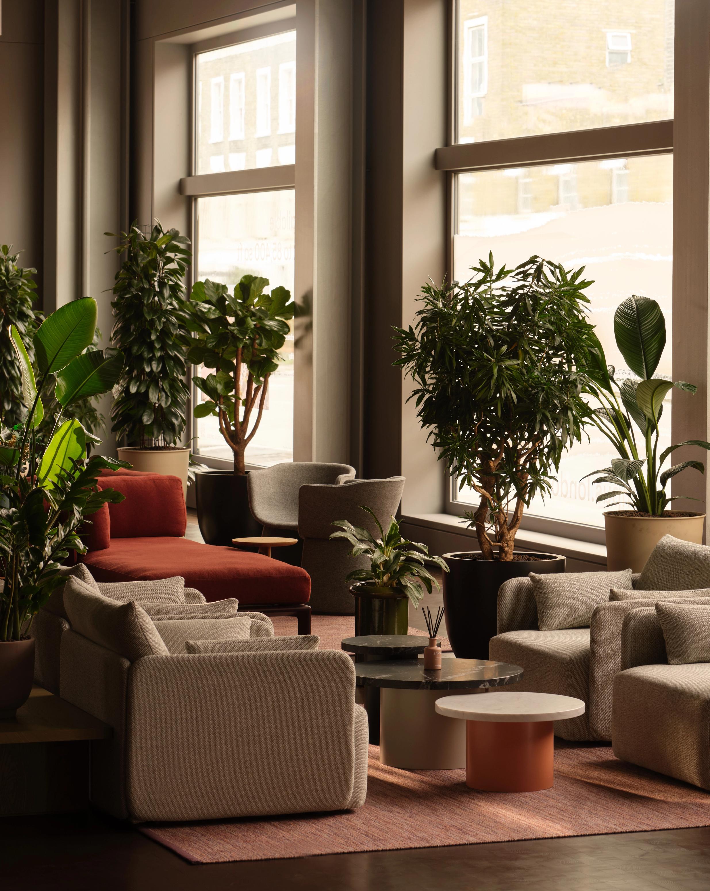 The brief called for the creation of a warm, hospitable environment, encouraging tenants to use the spaces for meetings and events. In deliberate contrast to the architecturally driven interior, the furniture played a foundational role in enriching and layering the space to build atmosphere.
Through bespoke joinery, varied heights, and integrated landscaping elements, we crafted a series of distinct yet connected placemaking areas designed for work, rest, and conversation.