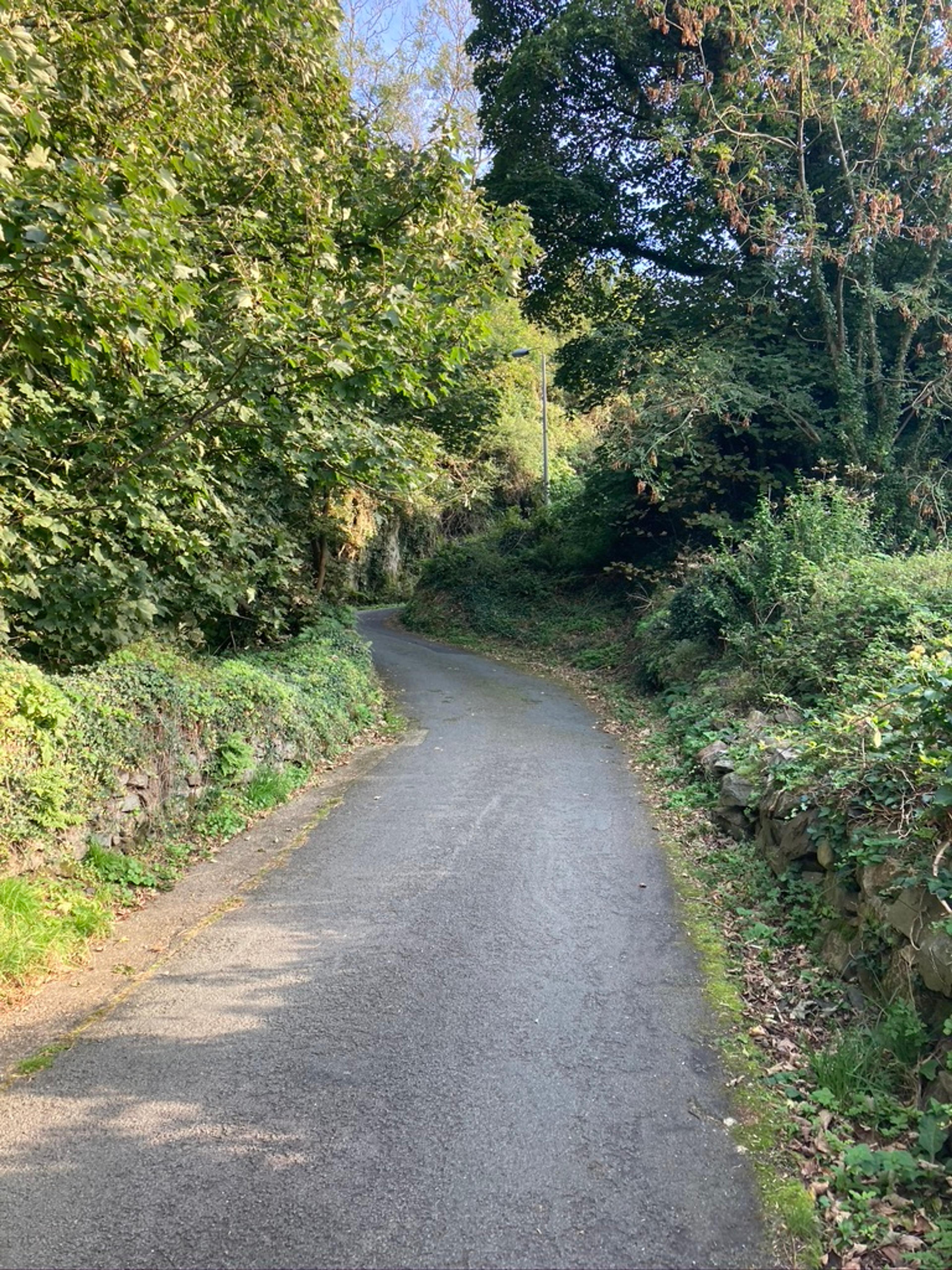 A steep road behind the Castle