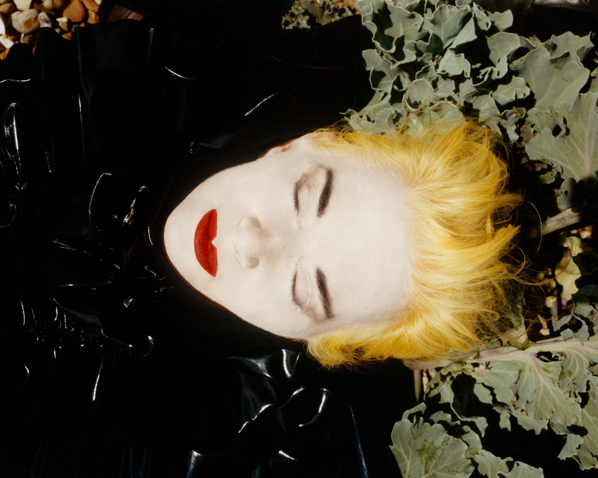 William Waterworth - Pam Hogg