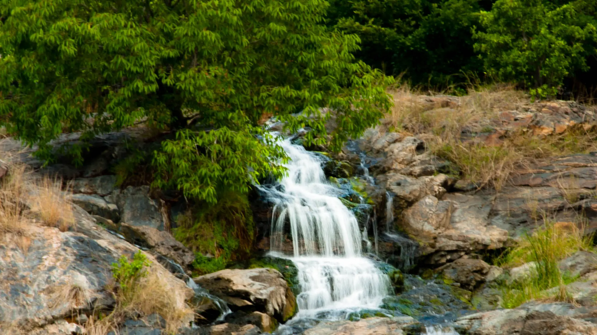 Shivanasamudra Falls