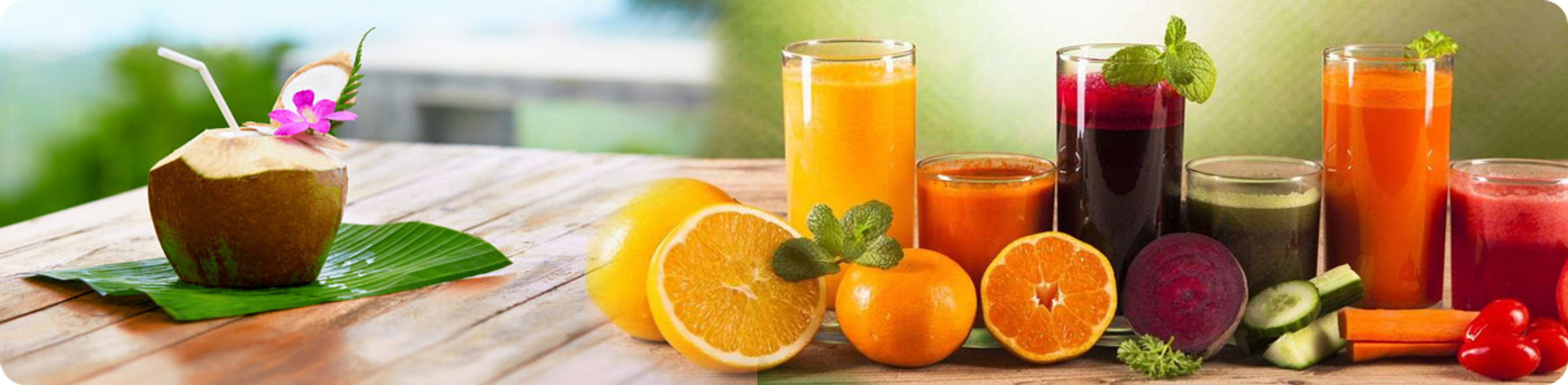 Welcome Drink on the houseboat: Lemon Juice or Fresh Juice