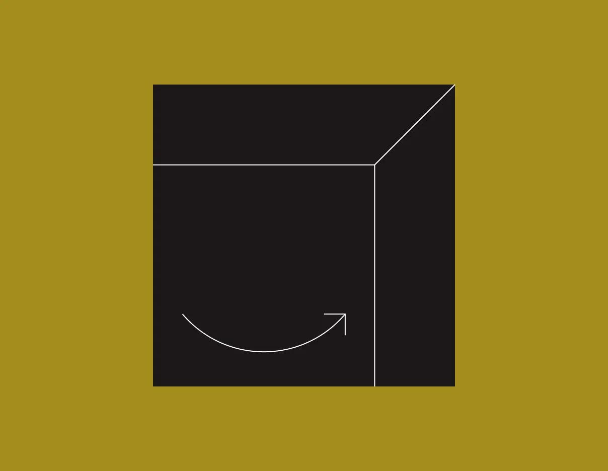 Illustration of a black amazon box on a mustard background